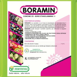 BORAMIN BY LT 1