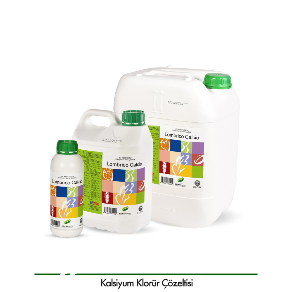 LOMBRICO CALCİO